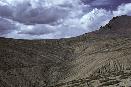 Oberhlab Pang 1995, Caragana Veg. 4700 m