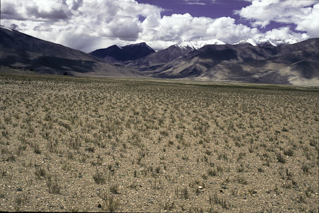 Tso Kar Halbwüste, 1995