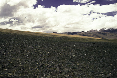 Tso Kar Steppe- Halbwüste, 1995